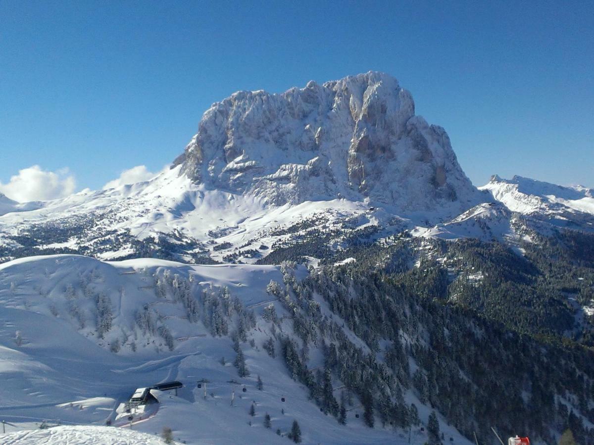 Santa Cristina Val GardenaArtitschアパートメント エクステリア 写真