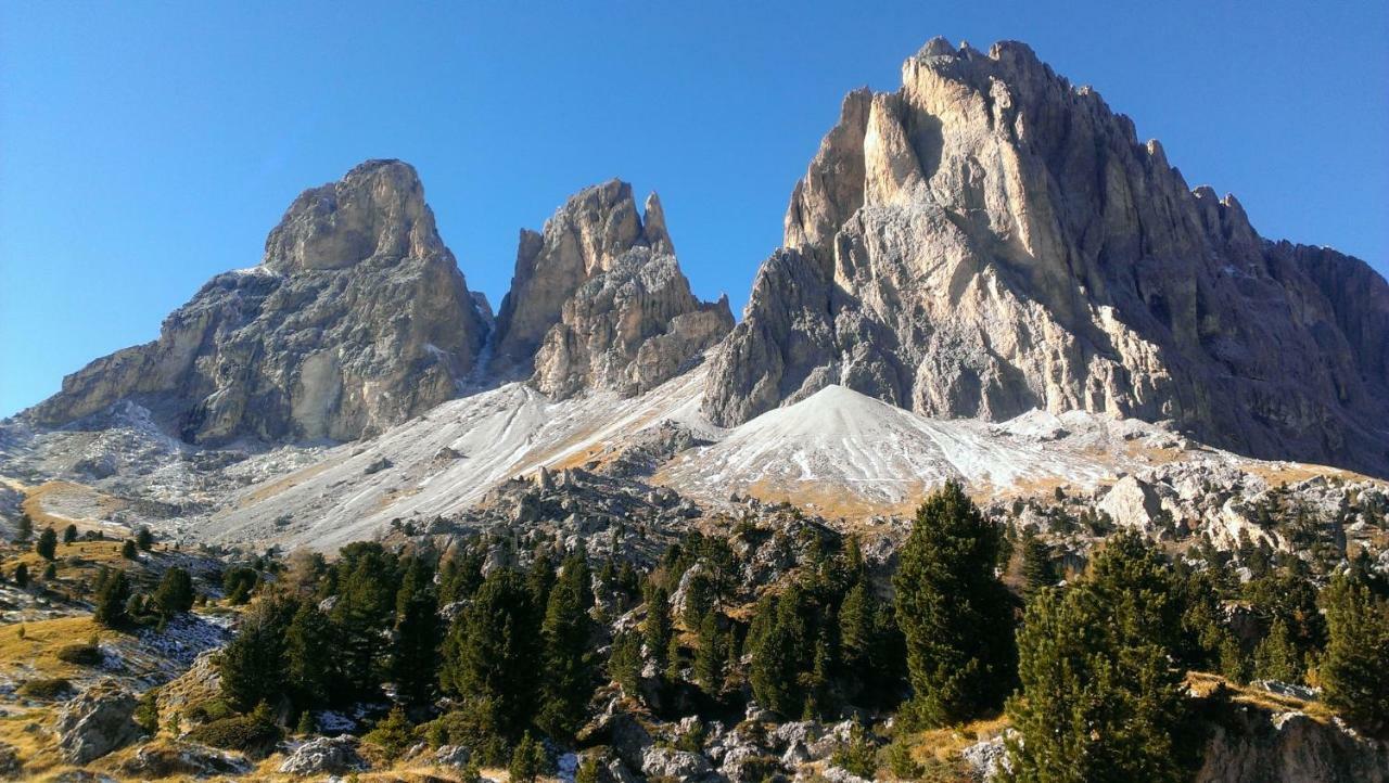 Santa Cristina Val GardenaArtitschアパートメント エクステリア 写真