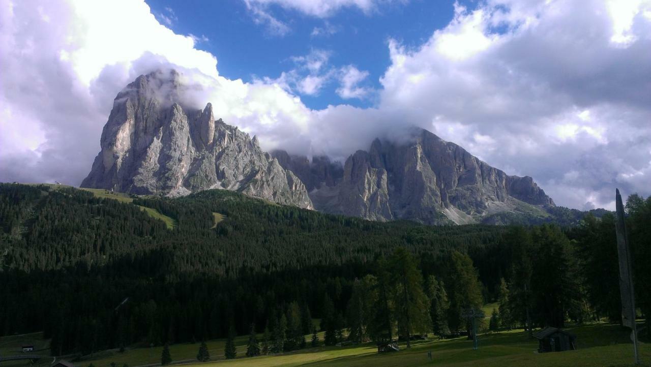Santa Cristina Val GardenaArtitschアパートメント エクステリア 写真